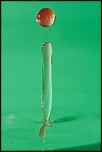 Tube allonge Kenko-5325.jpg