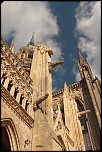 Avez vous le canon 28/105 USM-_mg_5442.jpg