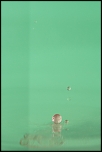 Tube allonge Kenko-5327.jpg