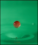 Tube allonge Kenko-5328.jpg