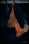IMG 9177