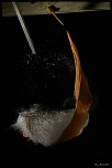 IMG 9186