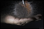 IMG 9210