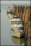 Des conseils...-img_8168n.jpg