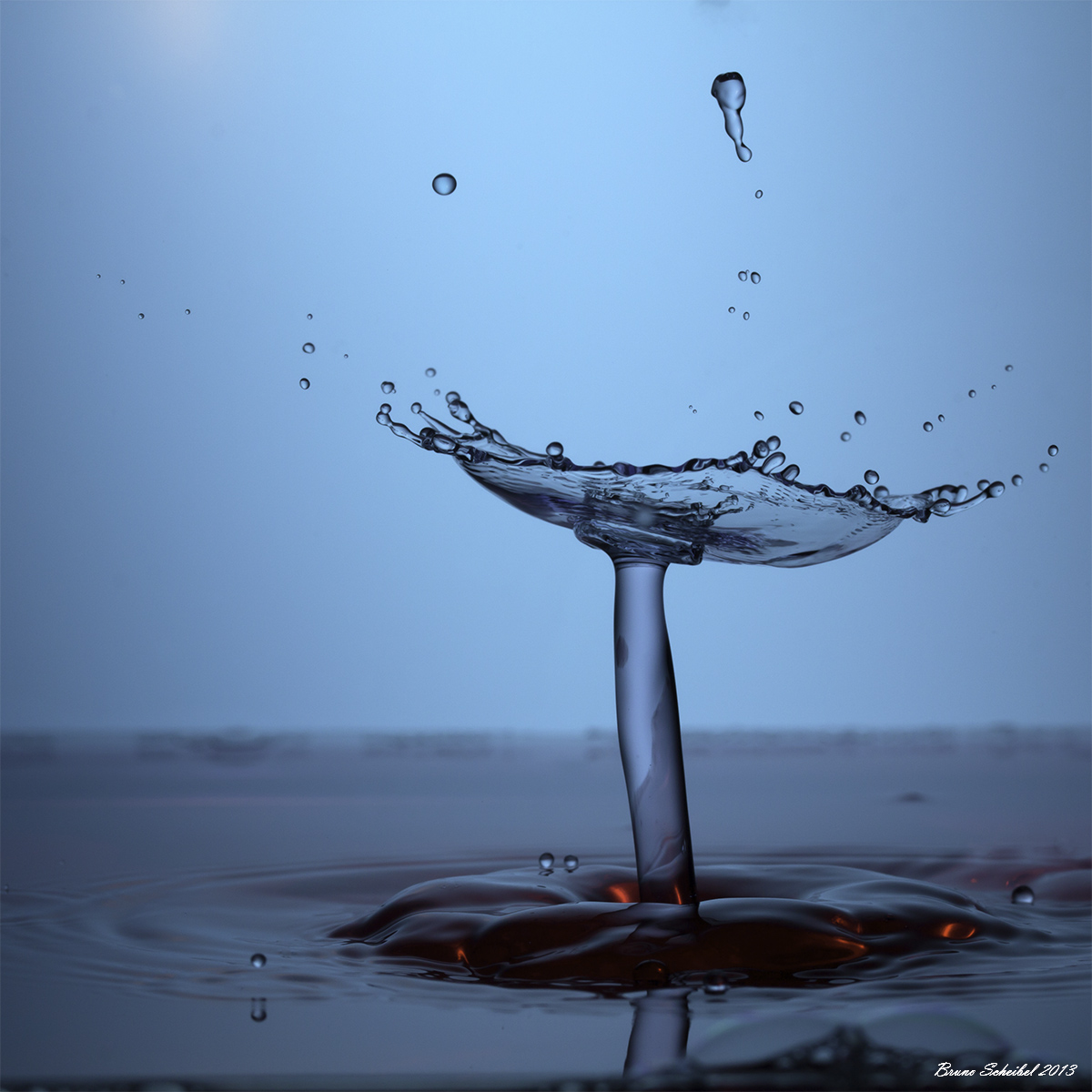 Nettoyer ses objectifs-img_9339-r.jpg