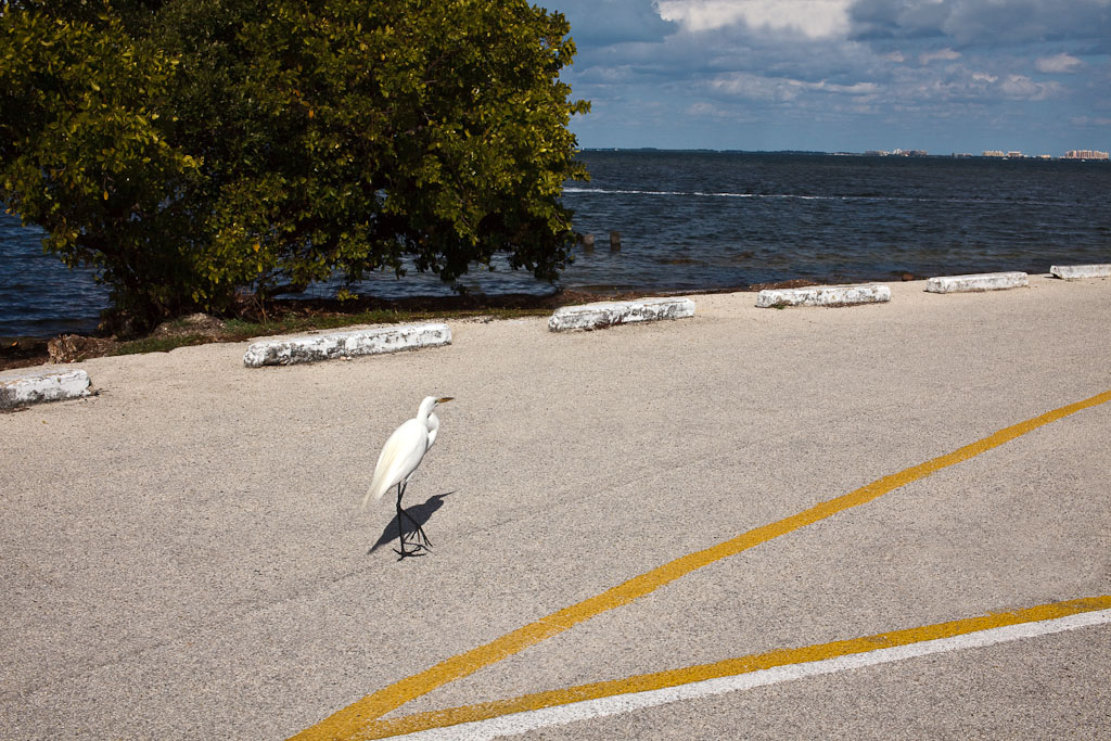 EXIF: 50mm - f/16.0 - 1/400 - ISO 100