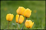 Filtres-5366.jpg