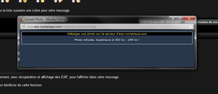 Presse papiers 1