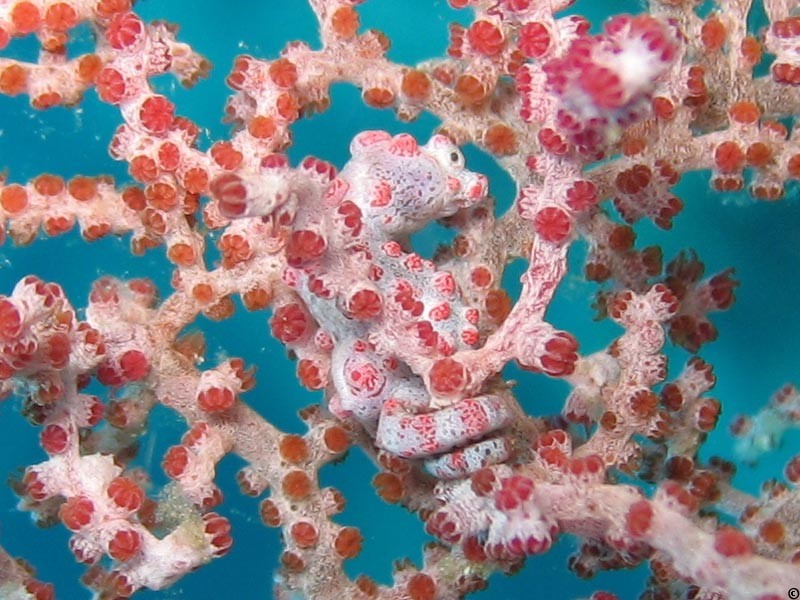 Filtres-5375.jpg