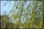 Speedlight EX 380-5416.jpg