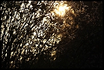 Speedlight EX 380-5418.jpg