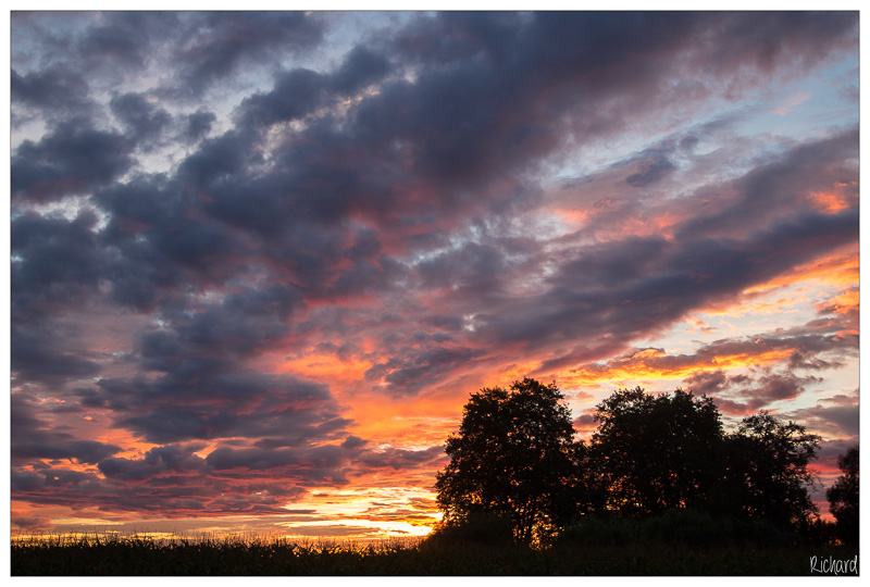 [Photo-Shop]Site pour photosop-good-morning.jpg