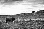 Joyeux anniversaire LCL2000-3340nb.jpg
