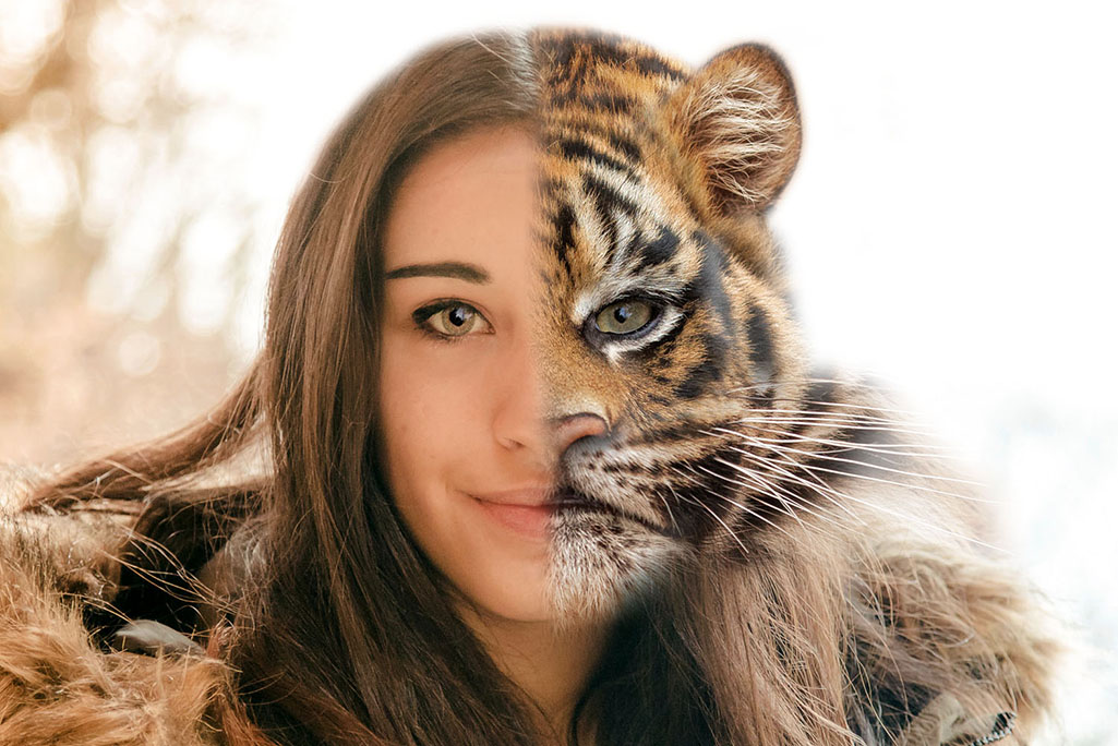 Anais tigre