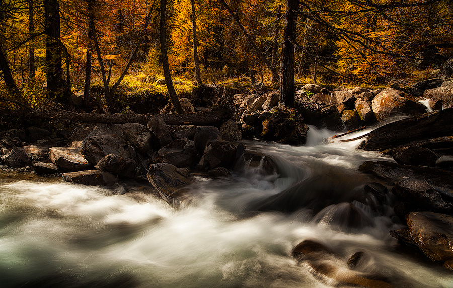 Fall Symphony