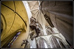 saintetienne2