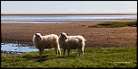bague T ?-islande-2012-2495.jpg