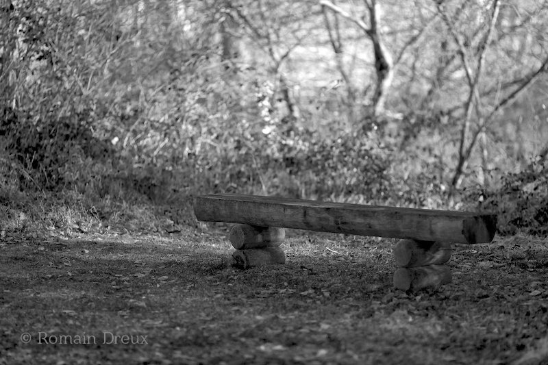 -solitude.jpg