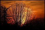 Nouveau venu-img_13519_size_r1.jpg