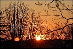Nouveau venu-img_13764_size_r1.jpg