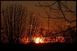 Nouveau venu-img_13766_size_r1.jpg
