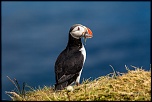 bague T ?-islande-2012-4573.jpg