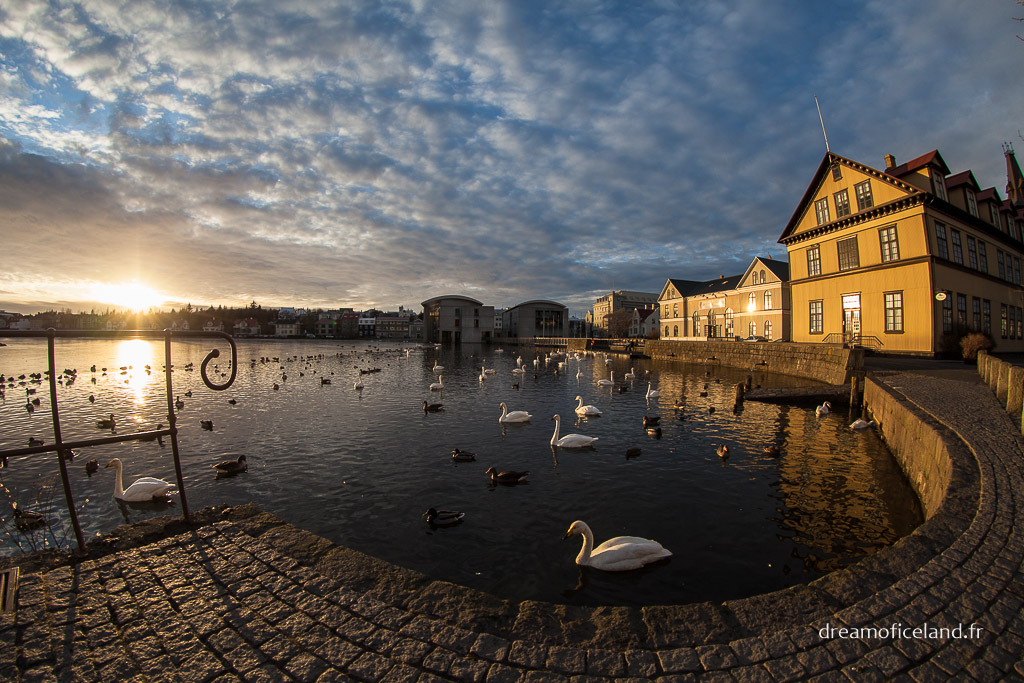 Tjrnin  Reykjavk