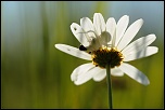 -img_1221.jpg