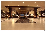 -img_5386-border-copier-.jpg