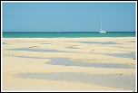 -img_5667-border-copier-.jpg