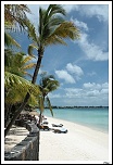 -img_5903-border-copier-.jpg