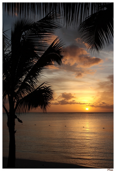 -img_5912-border-copier-.jpg