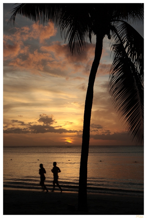 -img_5915-border-copier-.jpg