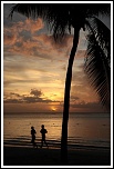 -img_5915-border-copier-.jpg