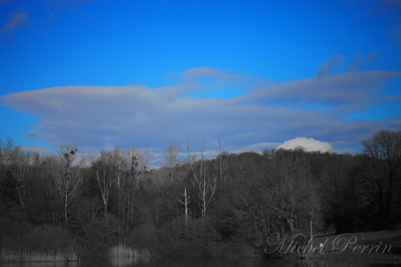 inversion de couleur.