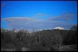 inversion de couleur.