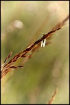 -img_3608_dxo.jpg