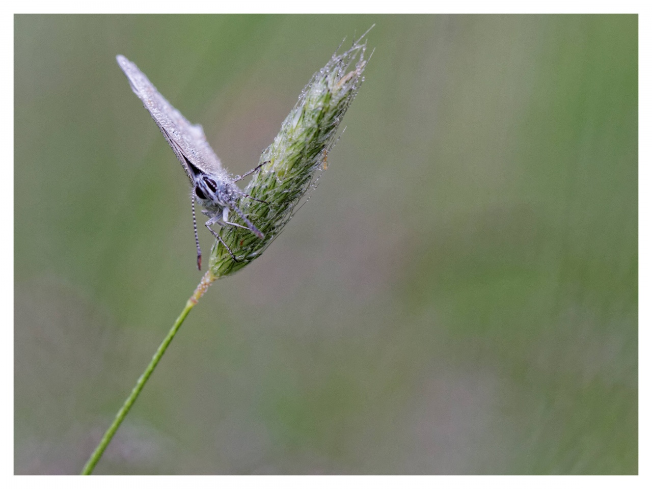 -azure-au-petit-matin_dxo.jpg