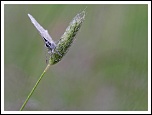 -azure-au-petit-matin_dxo.jpg