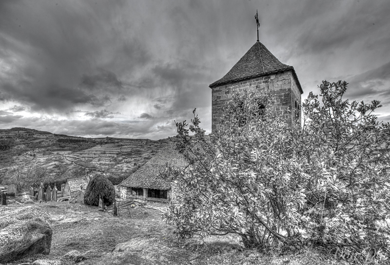 hdr st floret 9 rduit