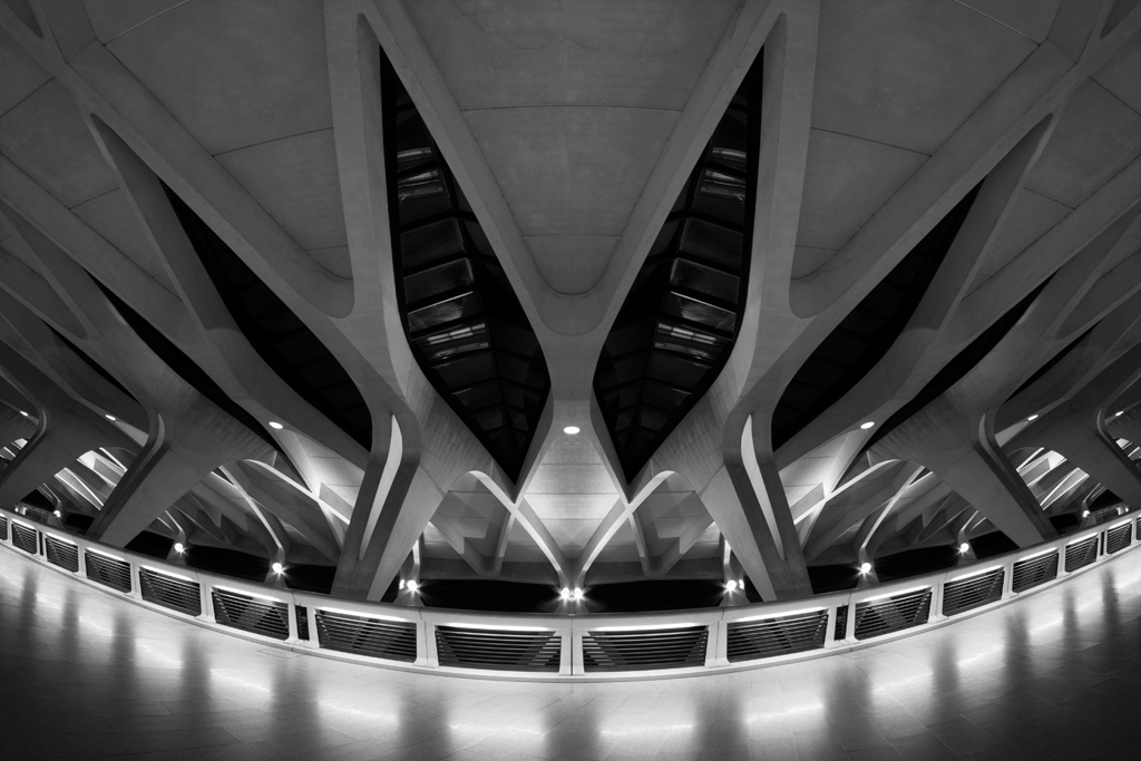 -7d1_3589_1024_018.jpg