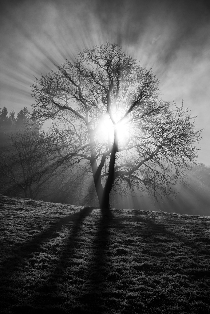 UN AUTRE LIEN PHOTOSHOP TRES INTERESSANT-3f1a0131_1024.jpg