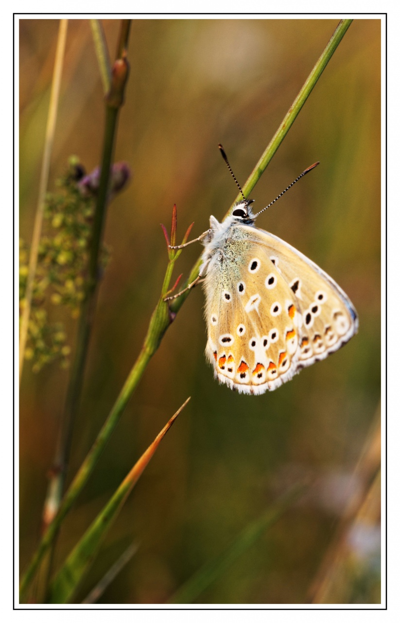-img_4911-azure_dxo.jpg