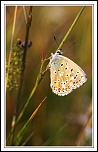 -img_4911-azure_dxo.jpg