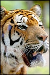 -img_8925-copie.jpg