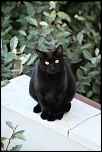 -img_0054-copie.jpg
