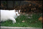 -img_4337-copie.jpg