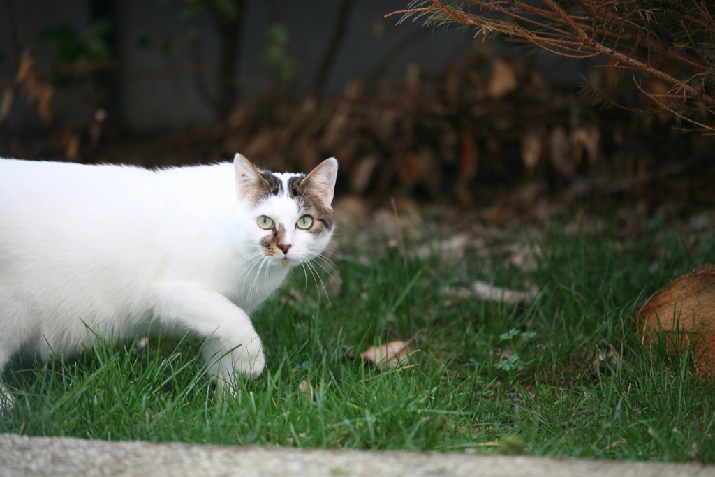 -img_4337-copie.jpg