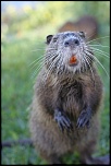 -img_3833-copie.jpg