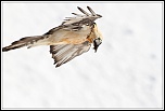 Aberrations chromatiques-108.jpg